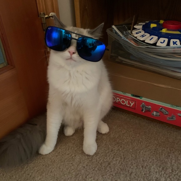 Meet your Posher, Suyue - Picture 1 of 1